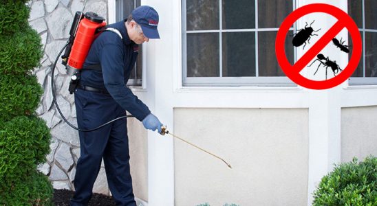 Akkışla Karınca İlaçlama böcek ilaçlama ve haşere kontrolü — ilaclama-tr.com
